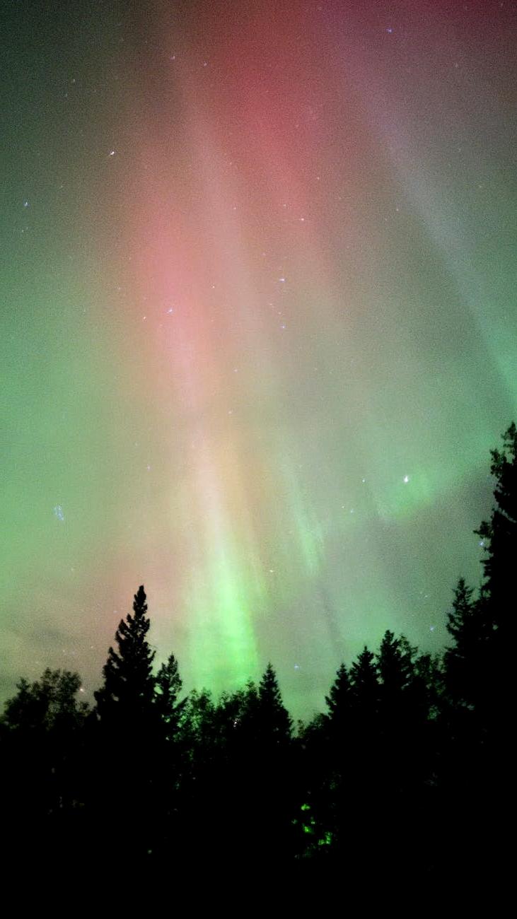 Nocne niebo pełne gwiazd